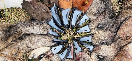 Register with Fish Hunt