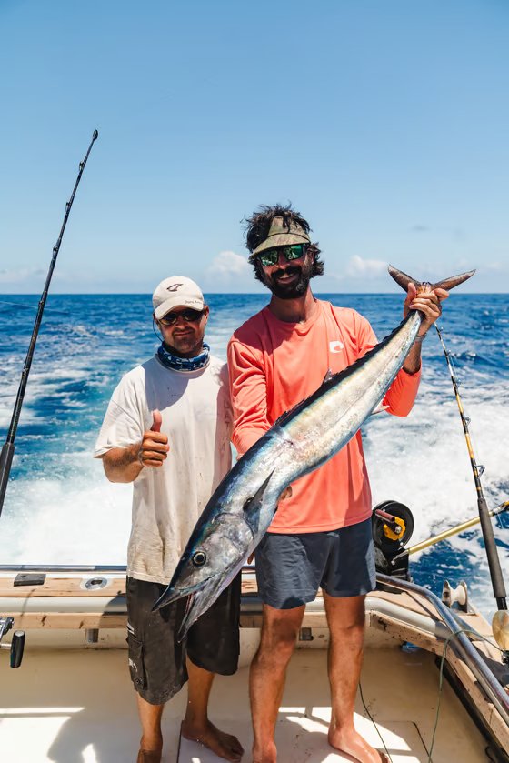 4.9 / 5 Average Rating